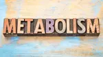 You may find yourself asking what is metabolism anyway and how can it help me finally lose the weight for good? When you’re trying your best to get into better shape