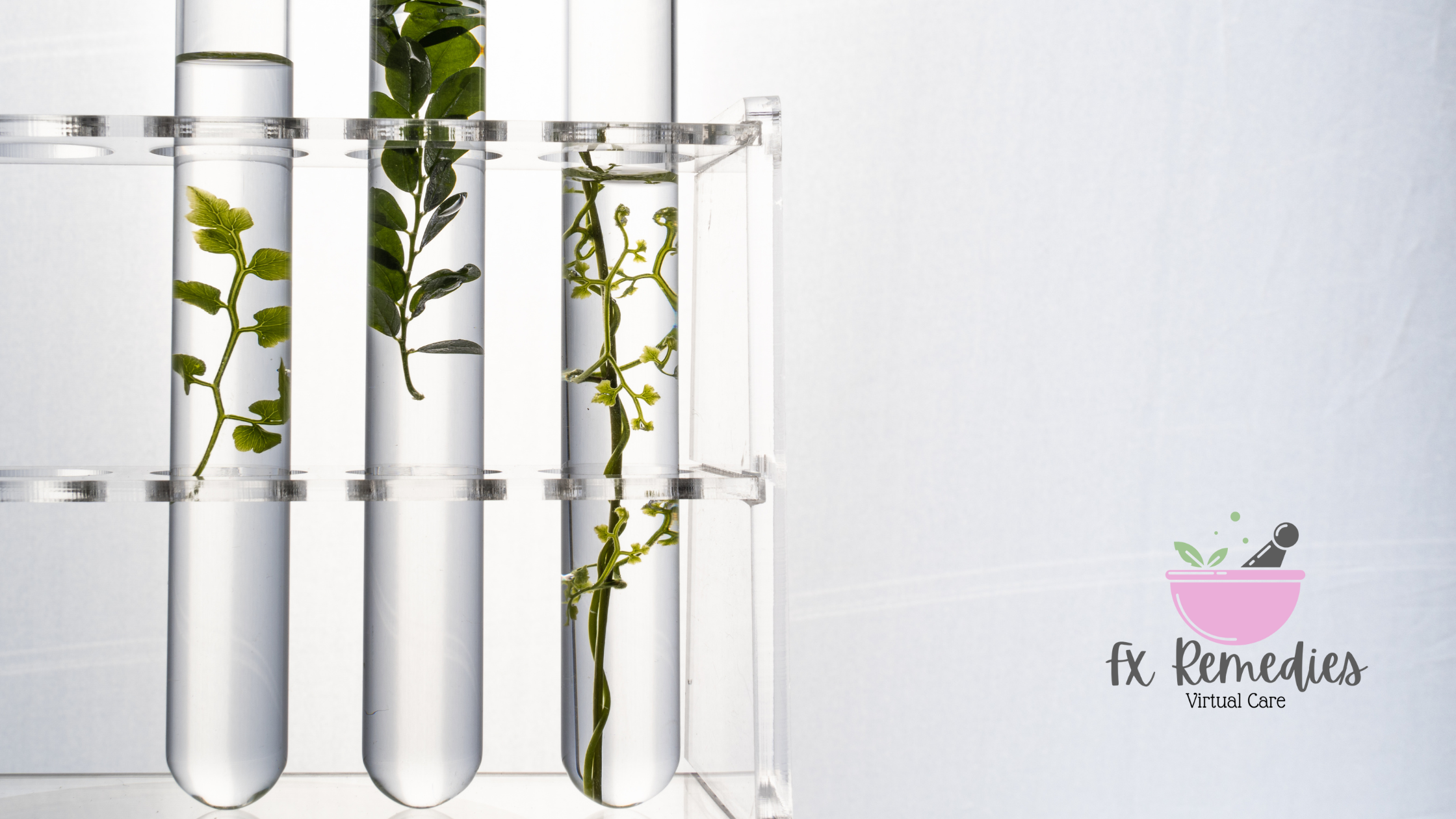 Functional Medicine Testing