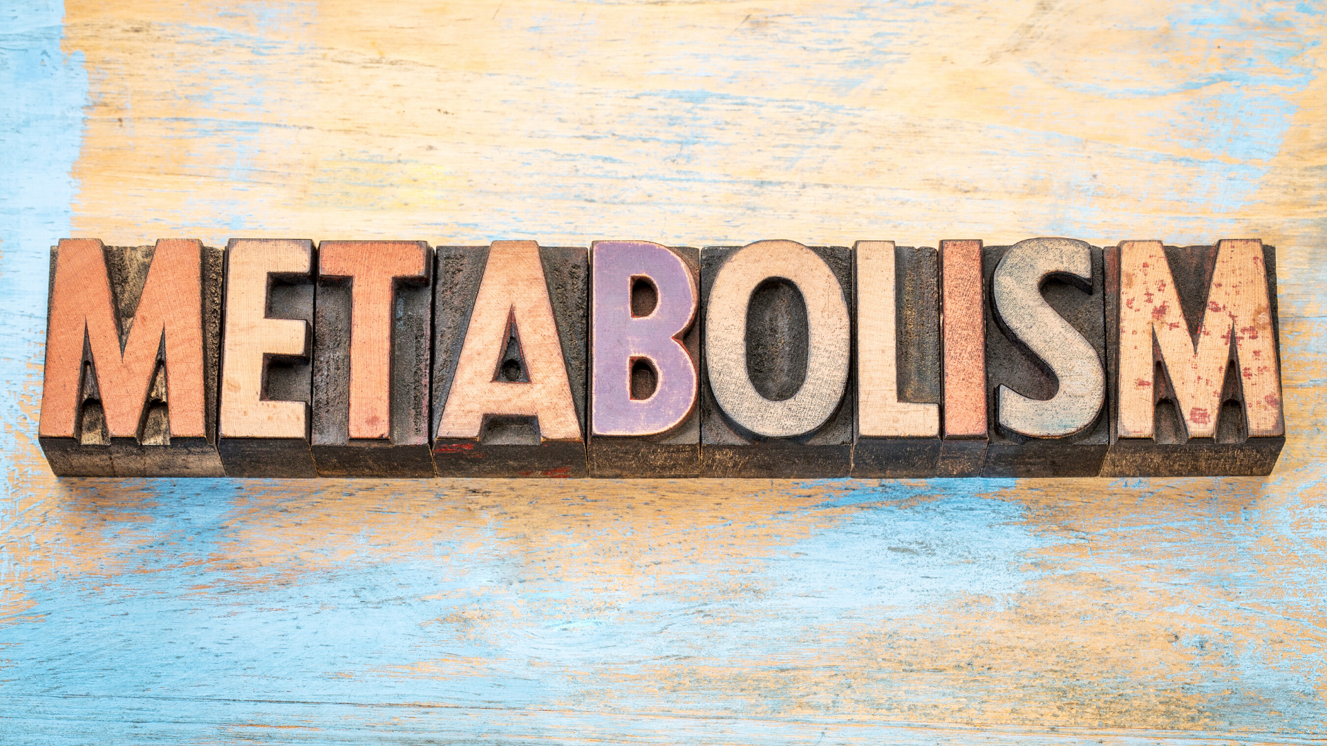 What Is Metabolism